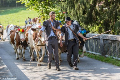 SUISSE